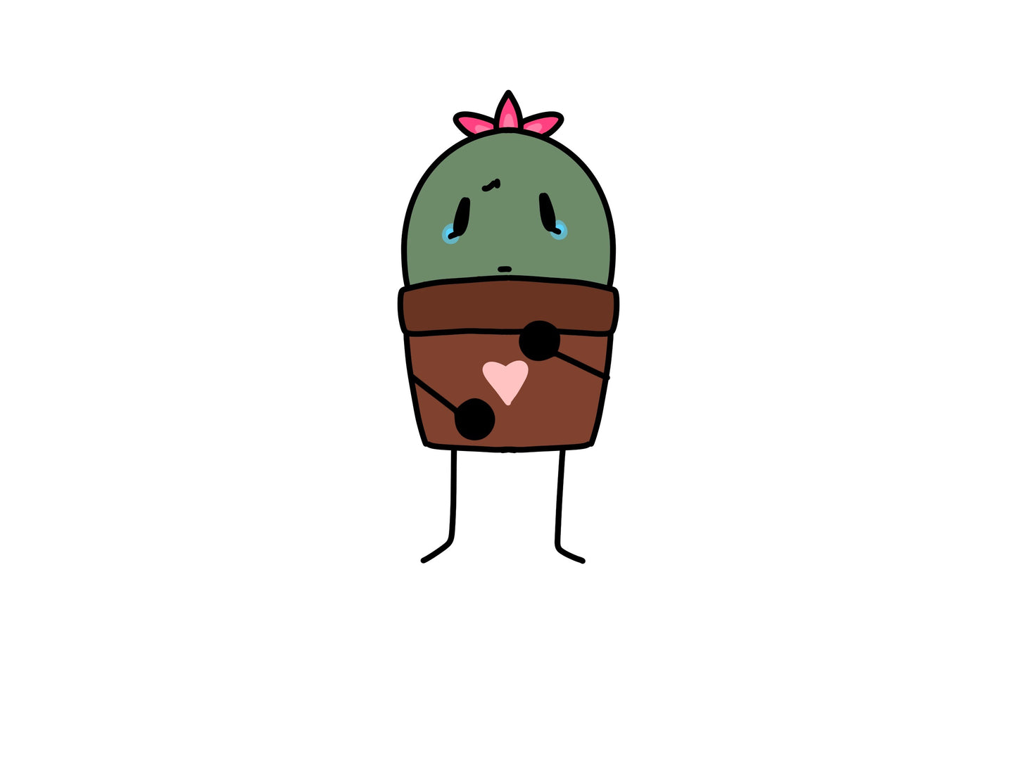 Cacti