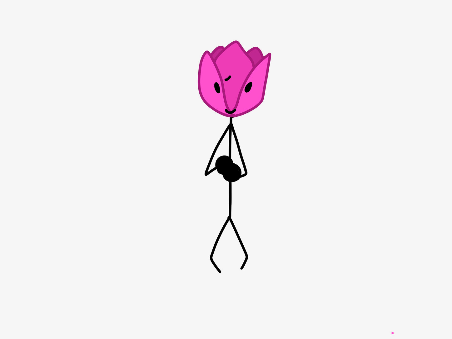 Tulip